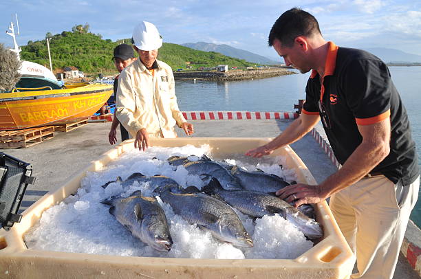 Norwegian Salmon Prices